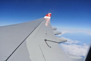 Ein Sitz genau auf dem Flügel...